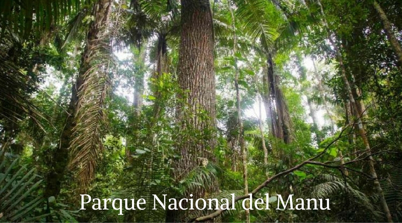 Parque Nacional Del Manu