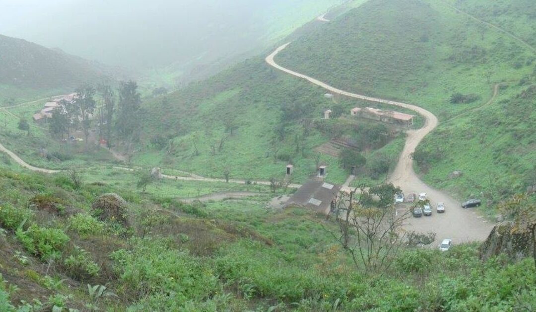 Reserva Nacional de Lachay